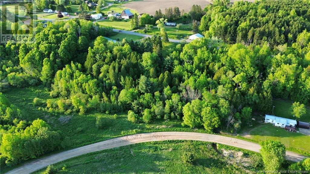 Lot Hallett Road, Beechwood, New Brunswick  E7J 1X2 - Photo 2 - NB120014
