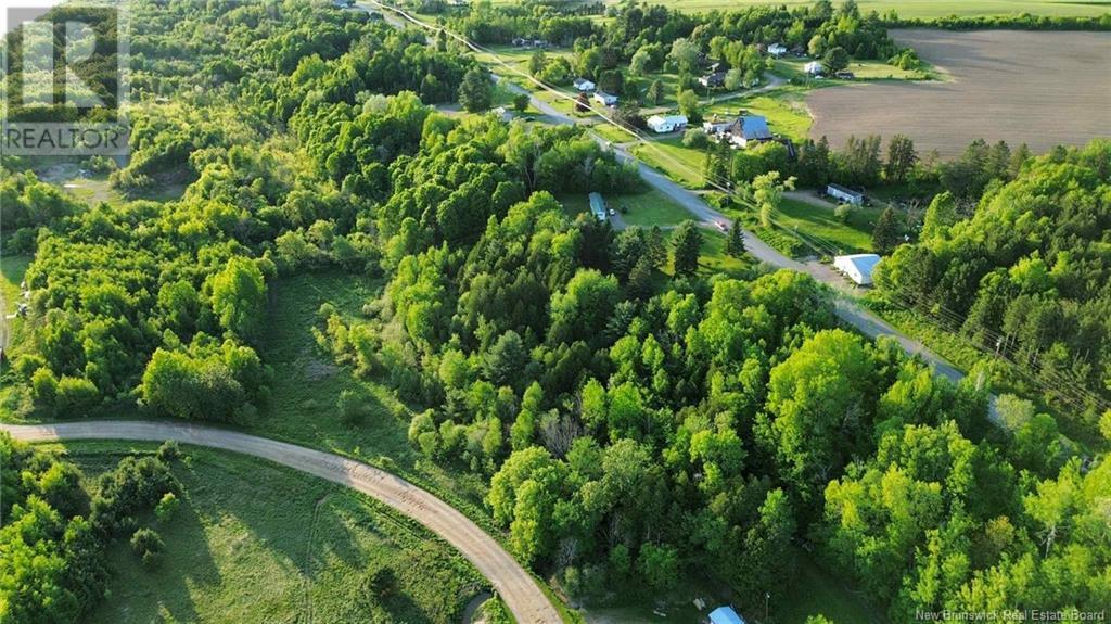 Lot Hallett Road, Beechwood, New Brunswick  E7J 1X2 - Photo 4 - NB120014