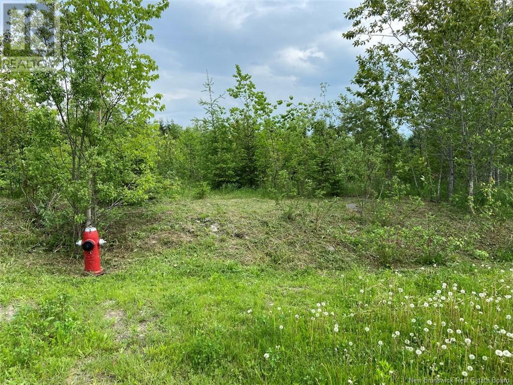 Lot vacant Albert Street, St-Hilaire, New Brunswick
