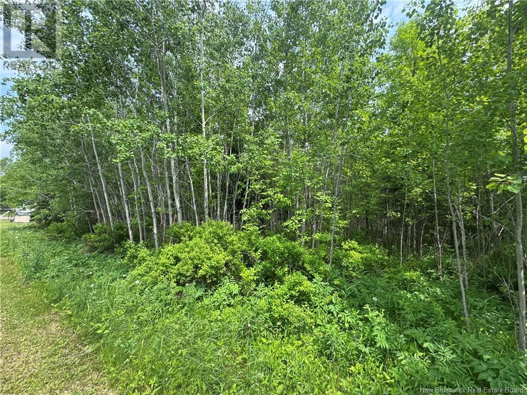 Lot Beulah Road, Oak Point, New Brunswick  E5M 2R2 - Photo 3 - NB120287