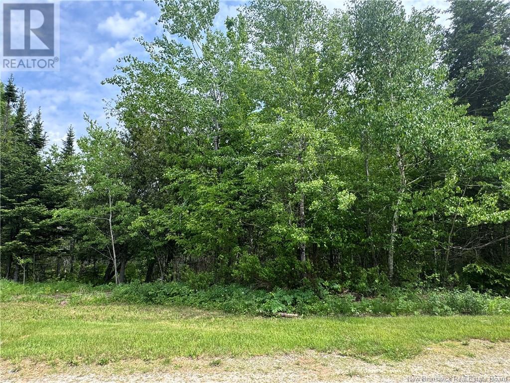 Lot Beulah Road, Oak Point, New Brunswick  E5M 2R2 - Photo 6 - NB120287
