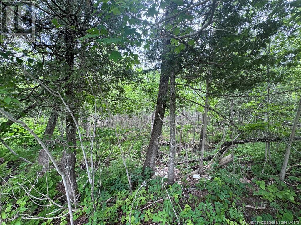 Lot Beulah Road, Oak Point, New Brunswick  E5M 2R2 - Photo 7 - NB120287