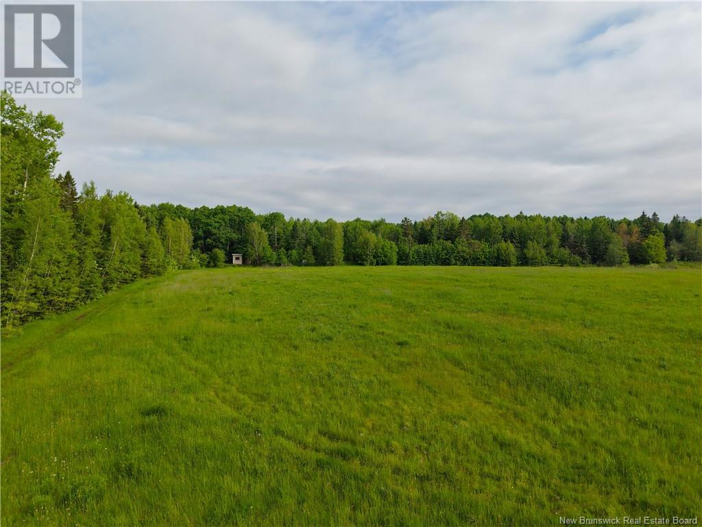 2912 Fredericton Road, Salisbury, New Brunswick  E4J 2G1 - Photo 8 - NB120151