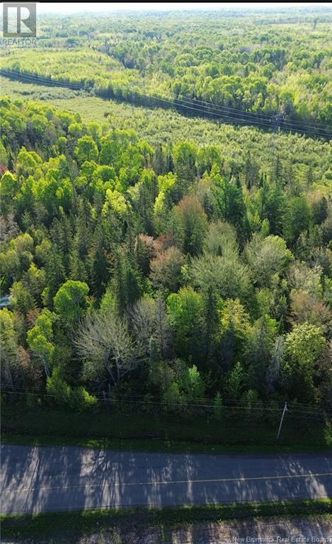 Lot 92-3 Sanatorium Road, Salisbury, New Brunswick  E4Z 3N2 - Photo 2 - NB119577