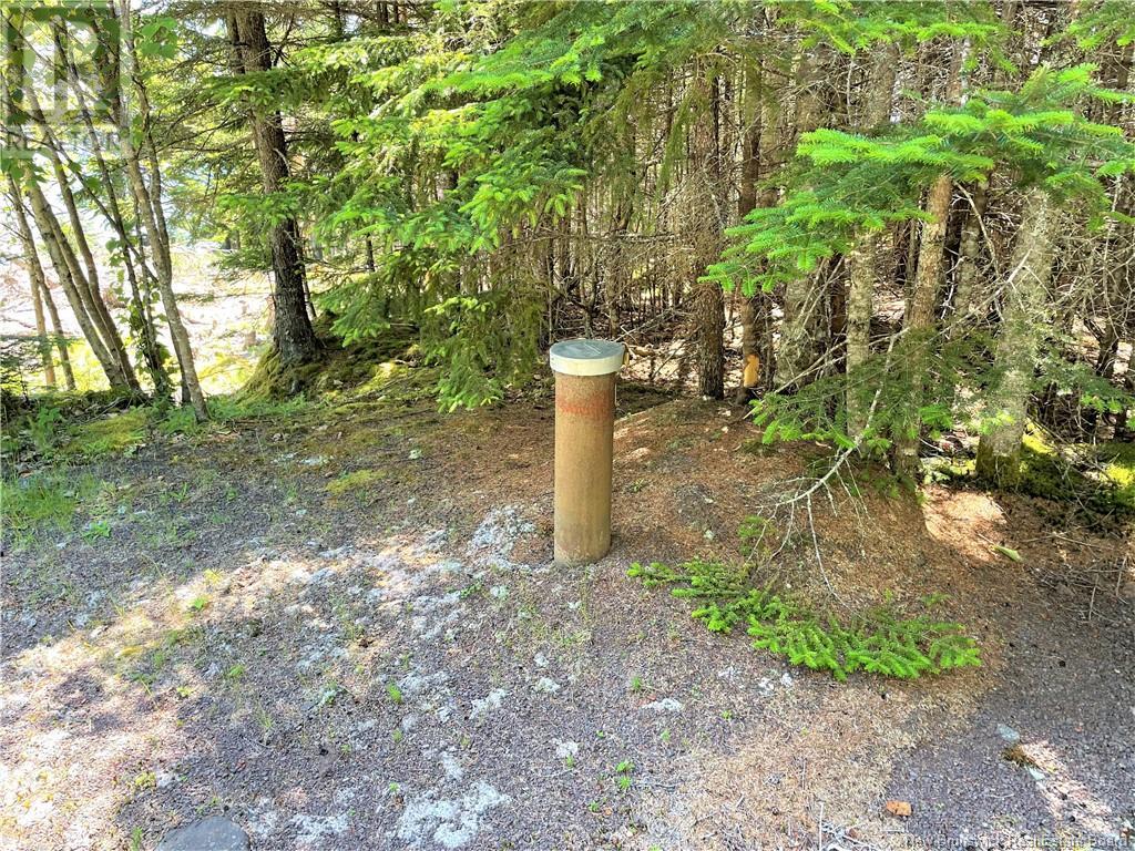 Lot 7 Kilmarnock Head, Chamcook, New Brunswick  E5B 0A9 - Photo 23 - NB120152