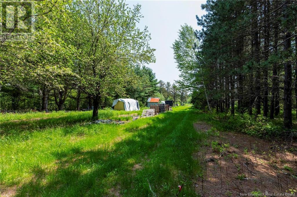 3180 Saint Charles Sud Road, Saint-Charles, New Brunswick  E4W 4Z3 - Photo 10 - NB120206