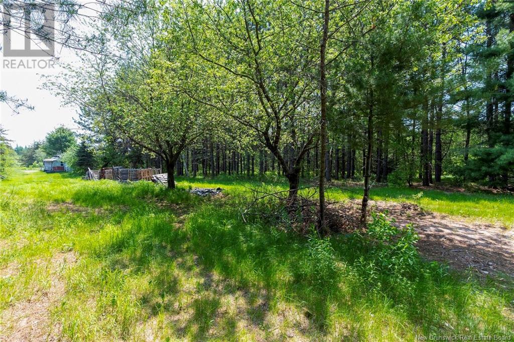 3180 Saint Charles Sud Road, Saint-Charles, New Brunswick  E4W 4Z3 - Photo 11 - NB120206