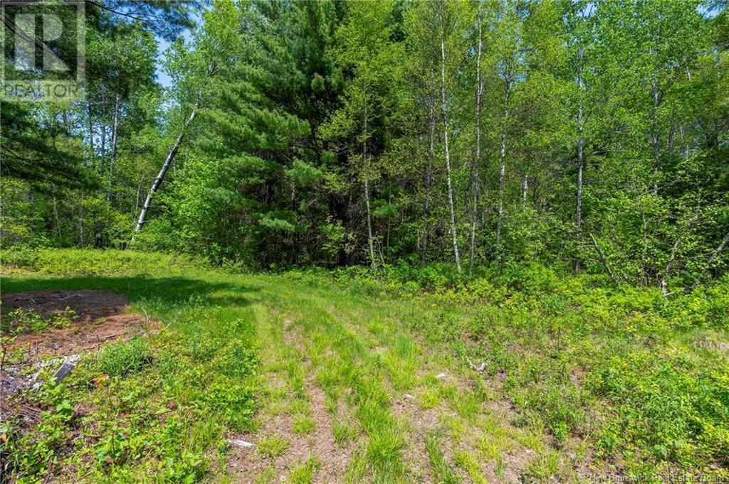 3180 Saint Charles Sud Road, Saint-Charles, New Brunswick  E4W 4Z3 - Photo 12 - NB120206
