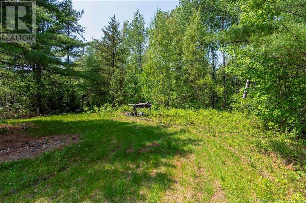 3180 Saint Charles Sud Road, Saint-Charles, New Brunswick  E4W 4Z3 - Photo 13 - NB120206