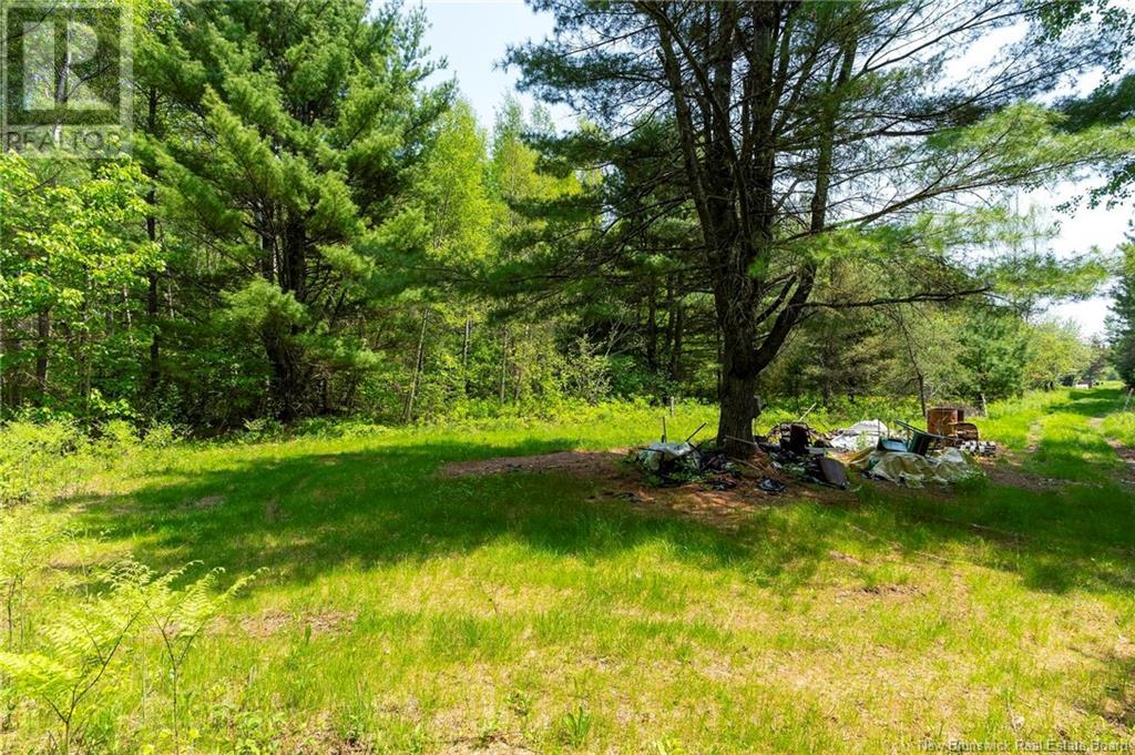 3180 Saint Charles Sud Road, Saint-Charles, New Brunswick  E4W 4Z3 - Photo 14 - NB120206
