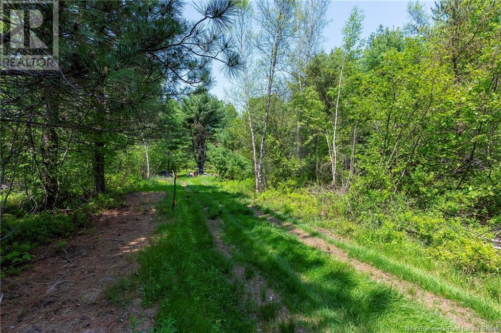 3180 Saint Charles Sud Road, Saint-Charles, New Brunswick  E4W 4Z3 - Photo 15 - NB120206