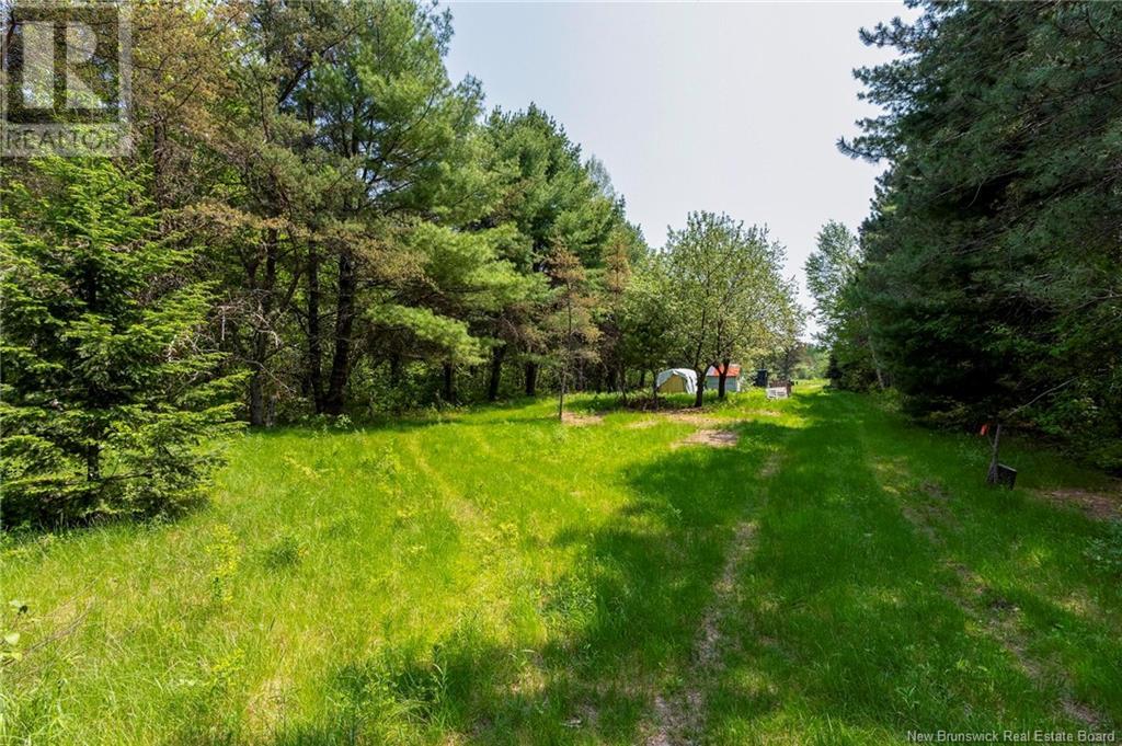 3180 Saint Charles Sud Road, Saint-Charles, New Brunswick  E4W 4Z3 - Photo 16 - NB120206