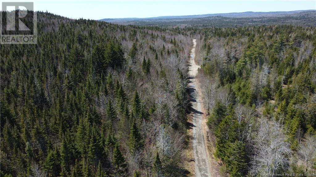 Mitchell Road, Grand Bay-Westfield, New Brunswick  E5K 1K1 - Photo 21 - NB120345