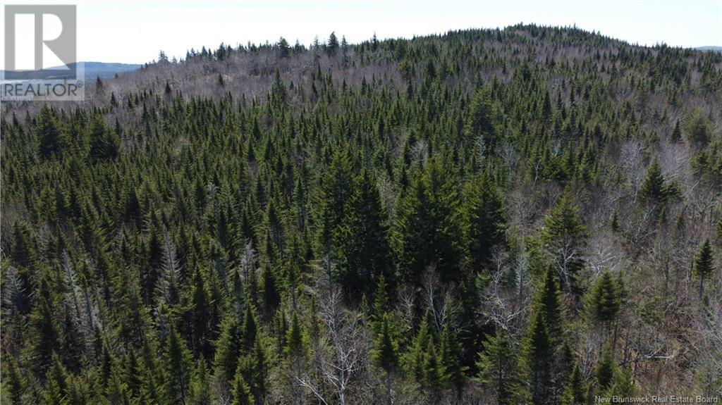 Mitchell Road, Grand Bay-Westfield, New Brunswick  E5K 1K1 - Photo 22 - NB120345