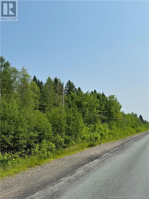 4.5 Hectares Route 118, Chelmsford, New Brunswick