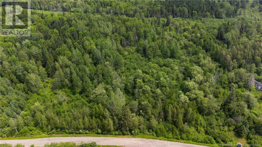 0 Furlong Road, Cloverdale, New Brunswick  E7P 2E2 - Photo 2 - NB120239