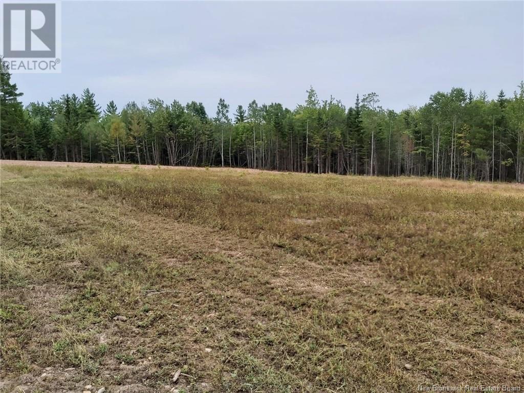 11761 Route 10, Long Creek, New Brunswick  E4C 1H3 - Photo 10 - NB120214