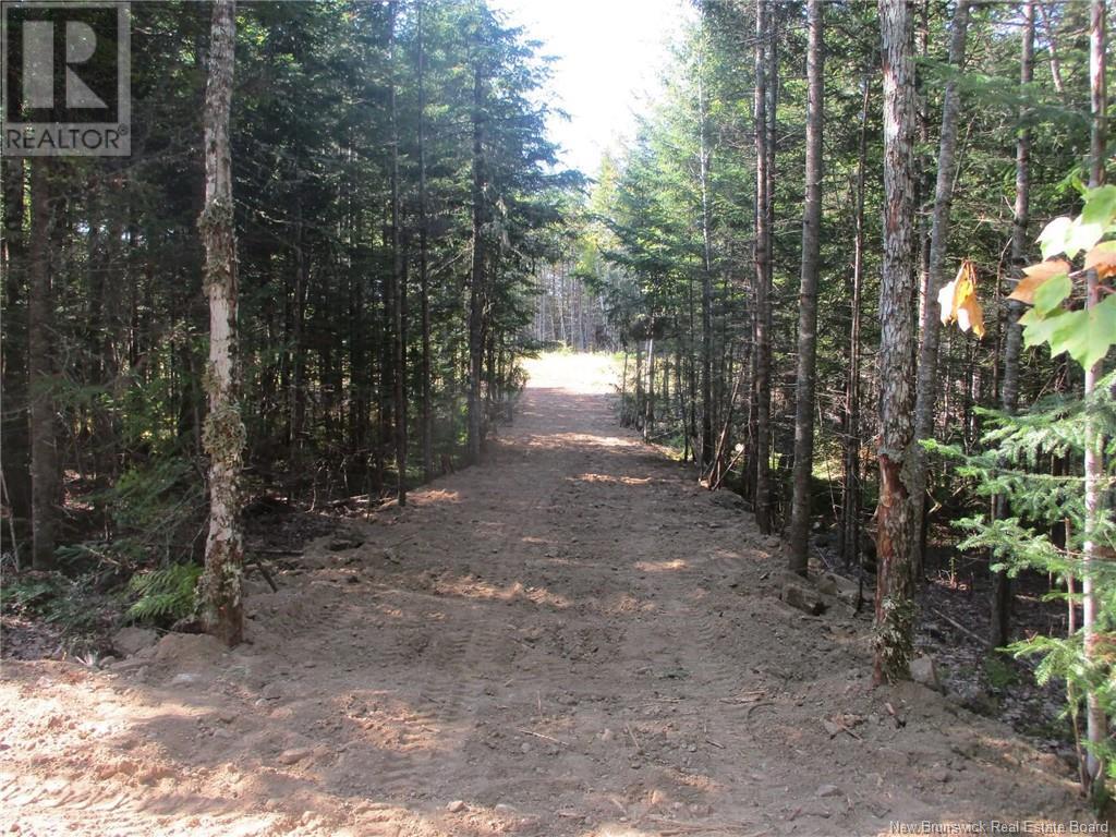 11761 Route 10, Long Creek, New Brunswick  E4C 1H3 - Photo 19 - NB120214