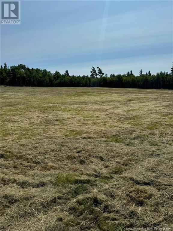 11761 Route 10, Long Creek, New Brunswick  E4C 1H3 - Photo 7 - NB120214