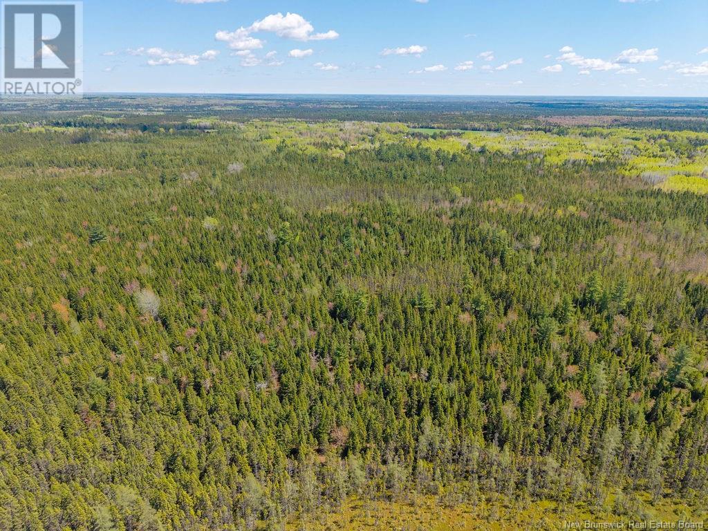 965 435 Route, Maple Glen, New Brunswick  E1V 4X2 - Photo 7 - NB119810