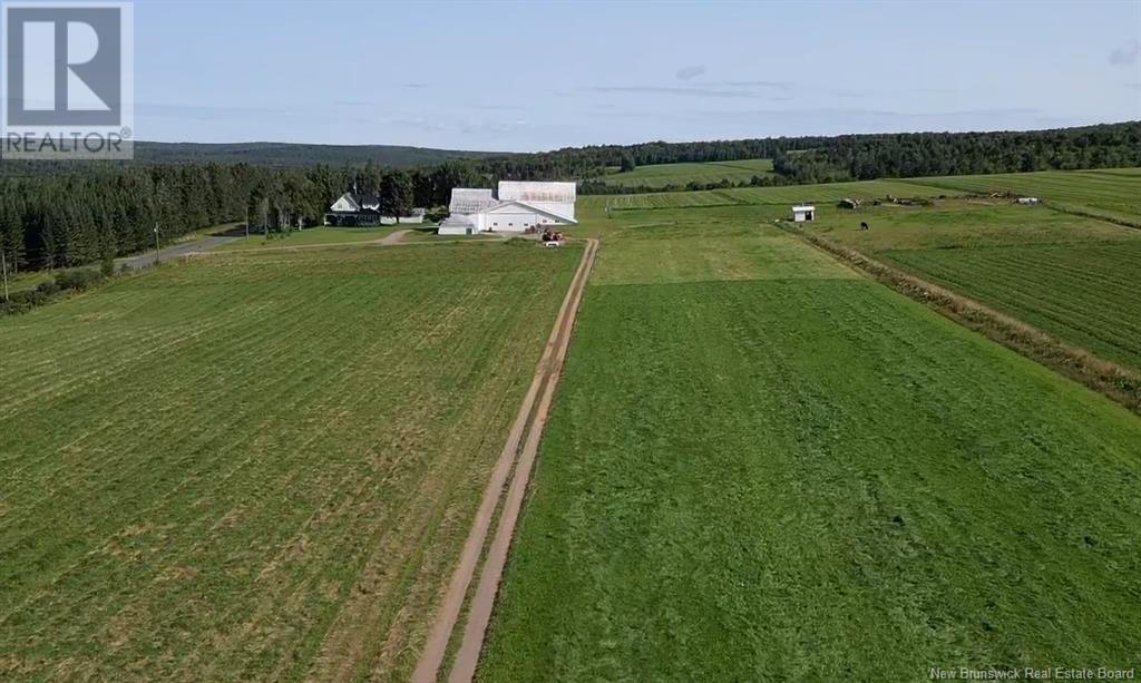 480 North View Road, North View, New Brunswick  E7G 2J8 - Photo 43 - NB120366