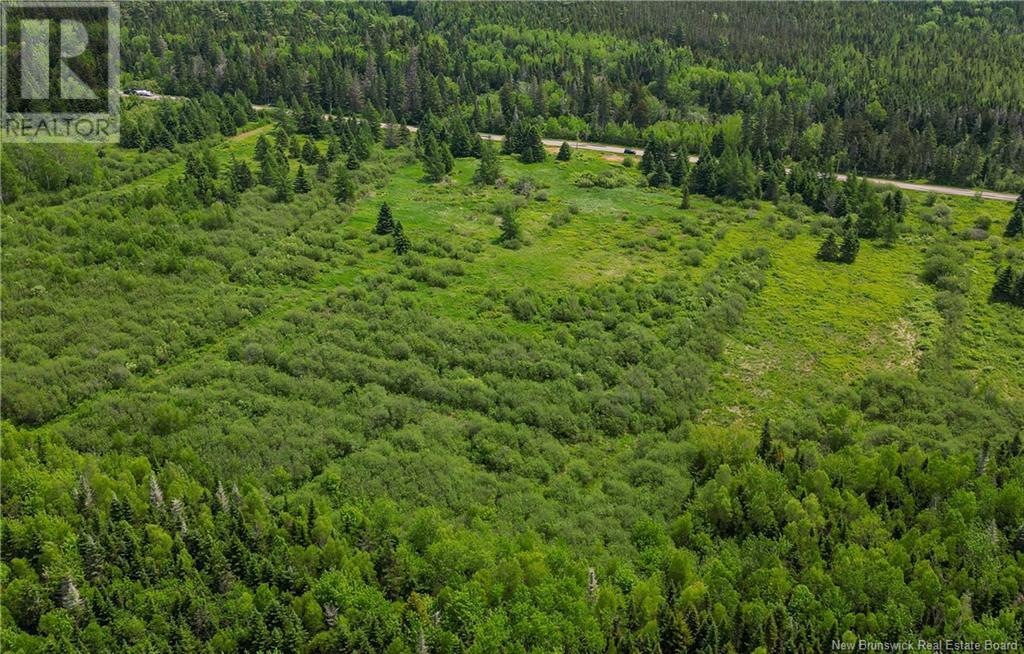 Lot 22-3 Route 940, Sackville, New Brunswick  E4L 1X9 - Photo 4 - NB120335