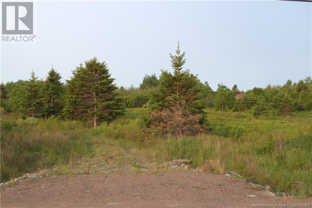 Vacant Lot Rte 530, Cap-De-Cocagne, New Brunswick  E4R 5G7 - Photo 6 - NB119966