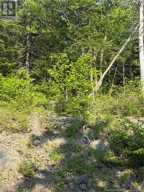 15 Foley Lane, Summerville, New Brunswick  E5S 1B7 - Photo 13 - NB120342