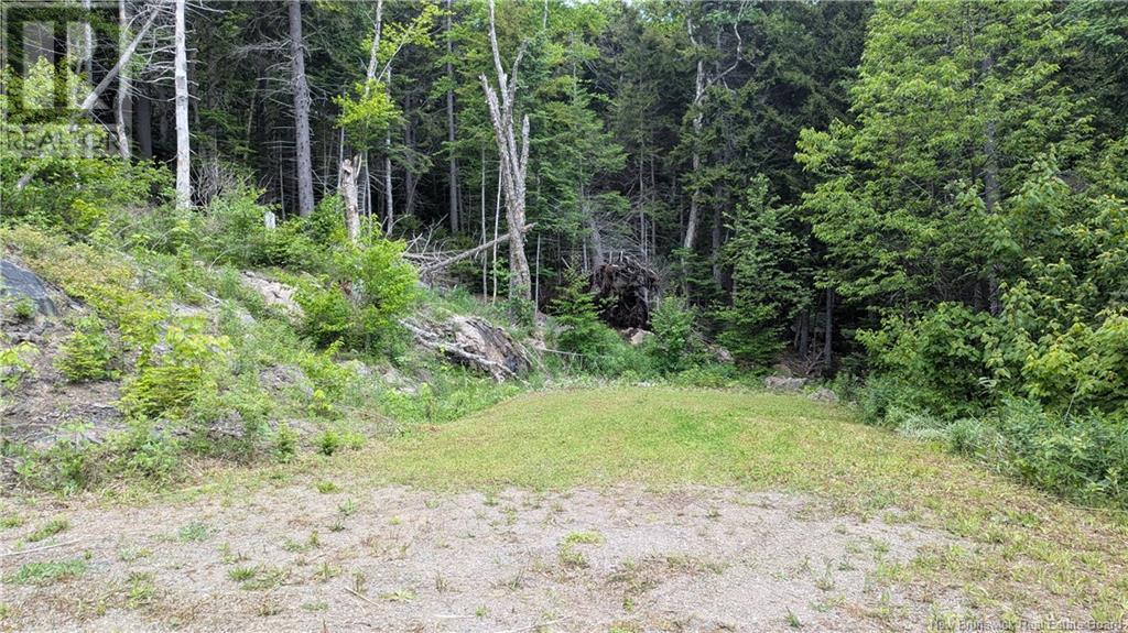 15 Foley Lane, Summerville, New Brunswick  E5S 1B7 - Photo 3 - NB120342