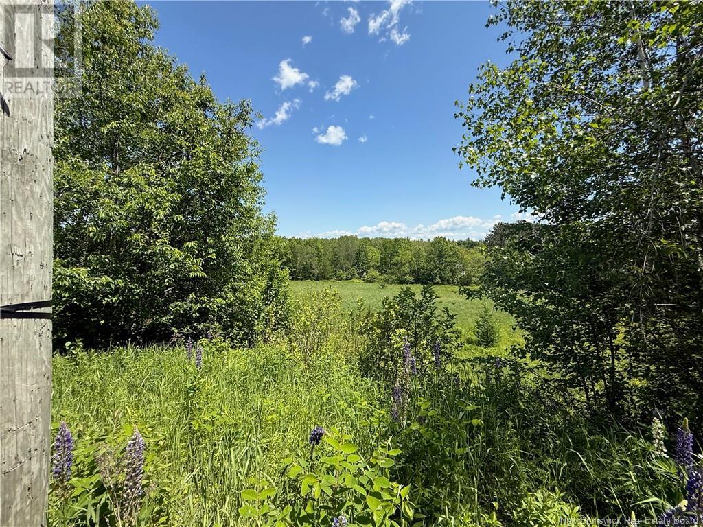 975 Northside Drive, Minto, New Brunswick  E4B 3G5 - Photo 13 - NB118569
