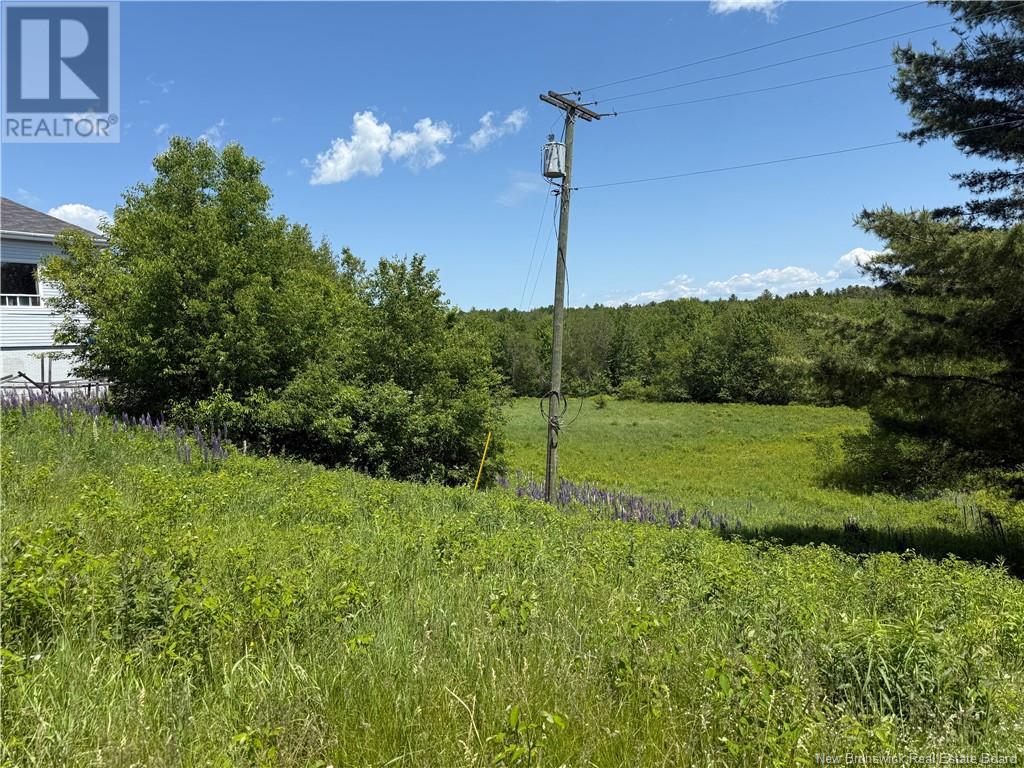 975 Northside Drive, Minto, New Brunswick  E4B 3G5 - Photo 14 - NB118569
