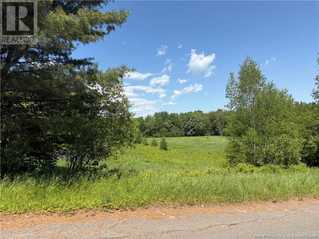 975 Northside Drive, Minto, New Brunswick  E4B 3G5 - Photo 15 - NB118569