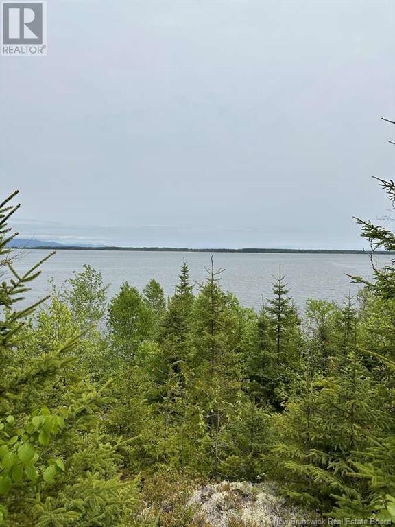 0 Mercier Road, New Mills, New Brunswick  E8B 1C9 - Photo 10 - NB120516