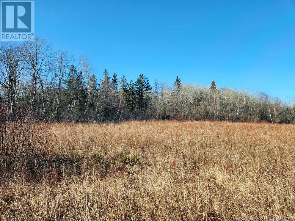 Lot Christopher Road, Edgetts Landing, New Brunswick  E4H 2X7 - Photo 16 - NB120506
