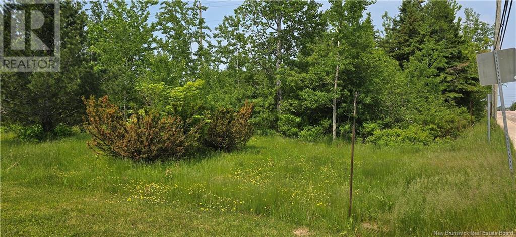 934 Hillsborough Road, Riverview, New Brunswick  E1B 3W5 - Photo 7 - NB120445
