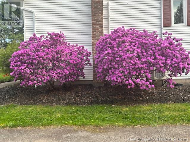 122 Millbrook Road, Mill Brook, New Brunswick  E4E 3V7 - Photo 32 - NB120386