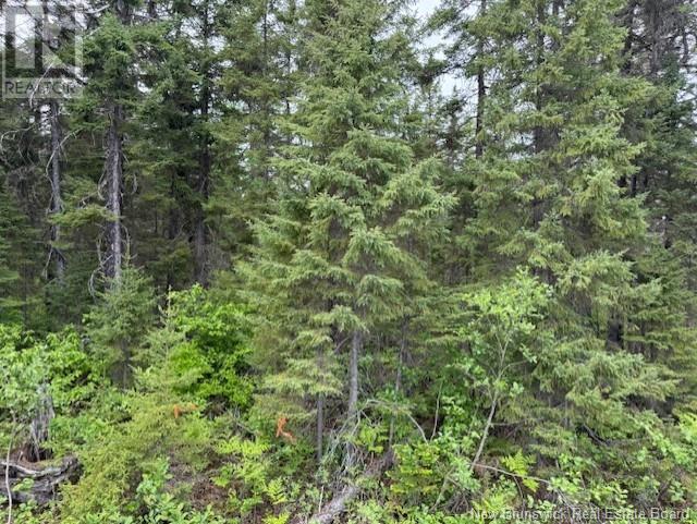 N/a Wayerton Road, Wayerton, New Brunswick  E9E 1P5 - Photo 2 - NB120432