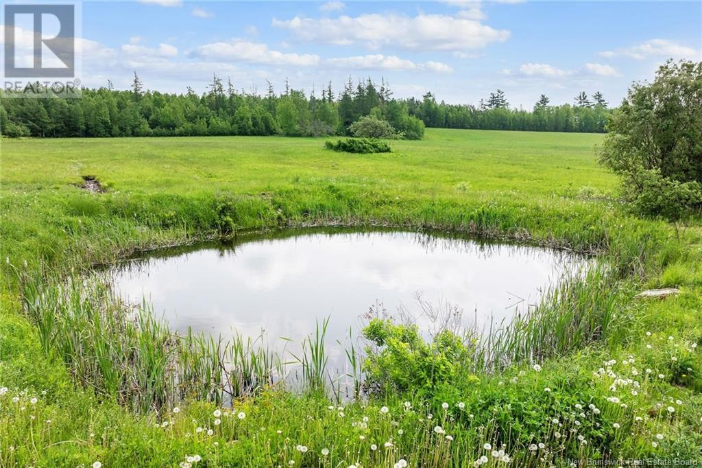 513 Boyne Road, Hoyt, New Brunswick  E5L 2C8 - Photo 9 - NB120582