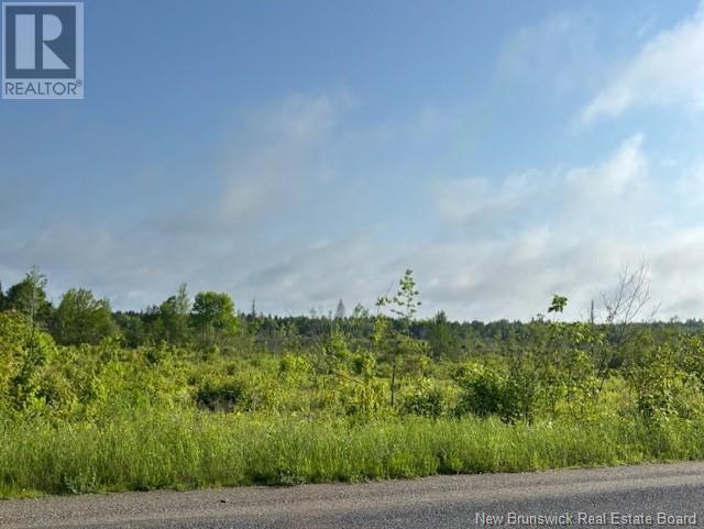 000 Upper Tower Hill Road, Tower Hill, New Brunswick  E5A 2P3 - Photo 10 - NB120589