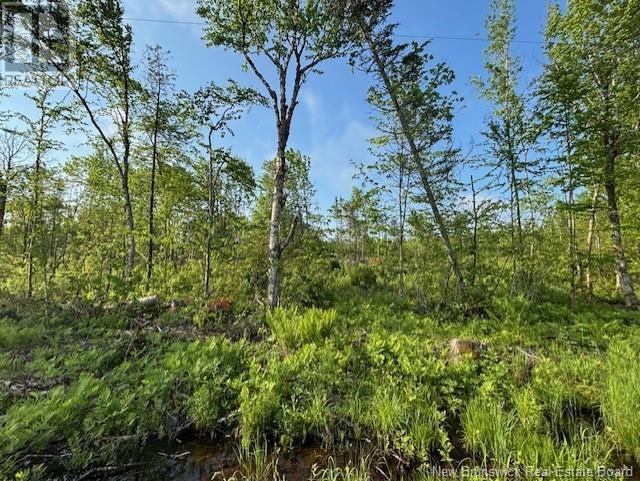 000 Upper Tower Hill Road, Tower Hill, New Brunswick  E5A 2P3 - Photo 3 - NB120589