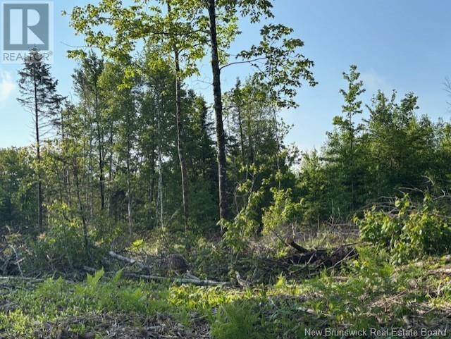 000 Upper Tower Hill Road, Tower Hill, New Brunswick  E5A 2P3 - Photo 5 - NB120589
