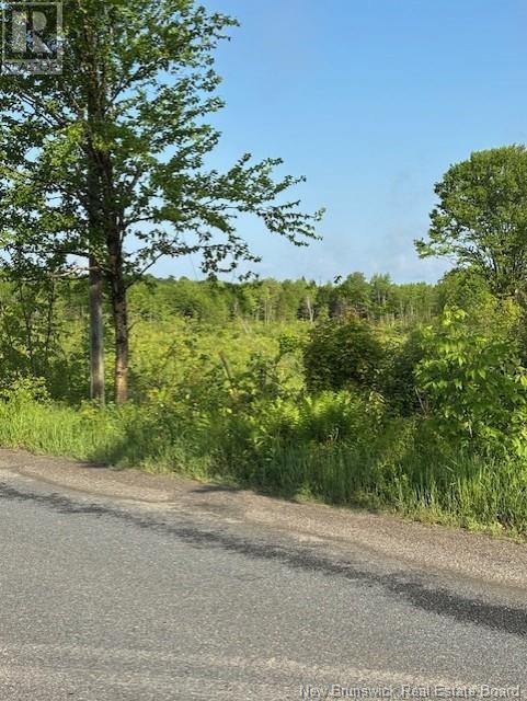 000 Upper Tower Hill Road, Tower Hill, New Brunswick  E5A 2P3 - Photo 8 - NB120589