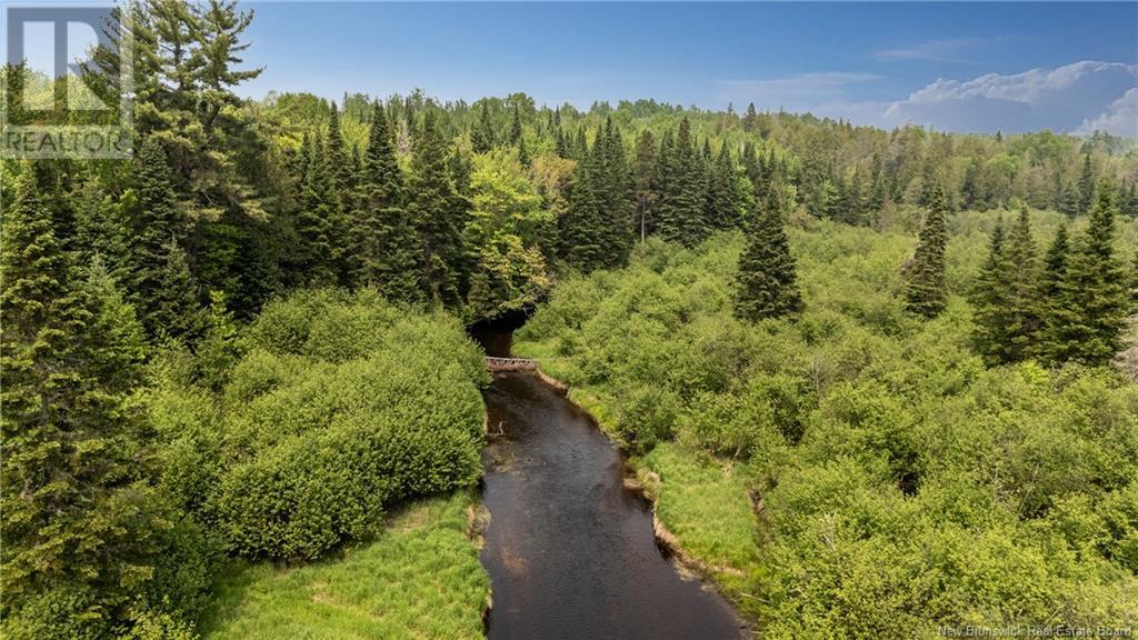 58 Buba's Lane, Cains River, New Brunswick  E9B 0A2 - Photo 5 - NB120087