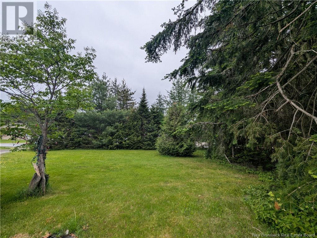 129 Rang 7 & 8 Road, Kedgwick Nord, New Brunswick  E8B 1V8 - Photo 10 - NB120596