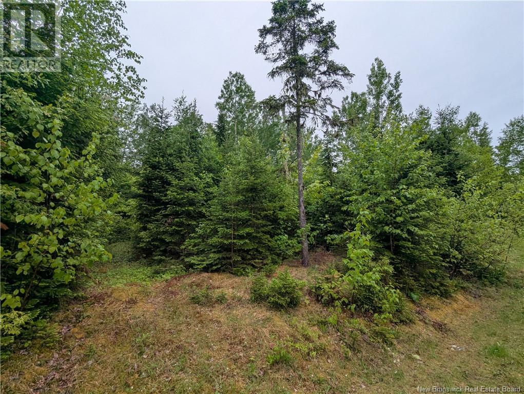 129 Rang 7 & 8 Road, Kedgwick Nord, New Brunswick  E8B 1V8 - Photo 18 - NB120596