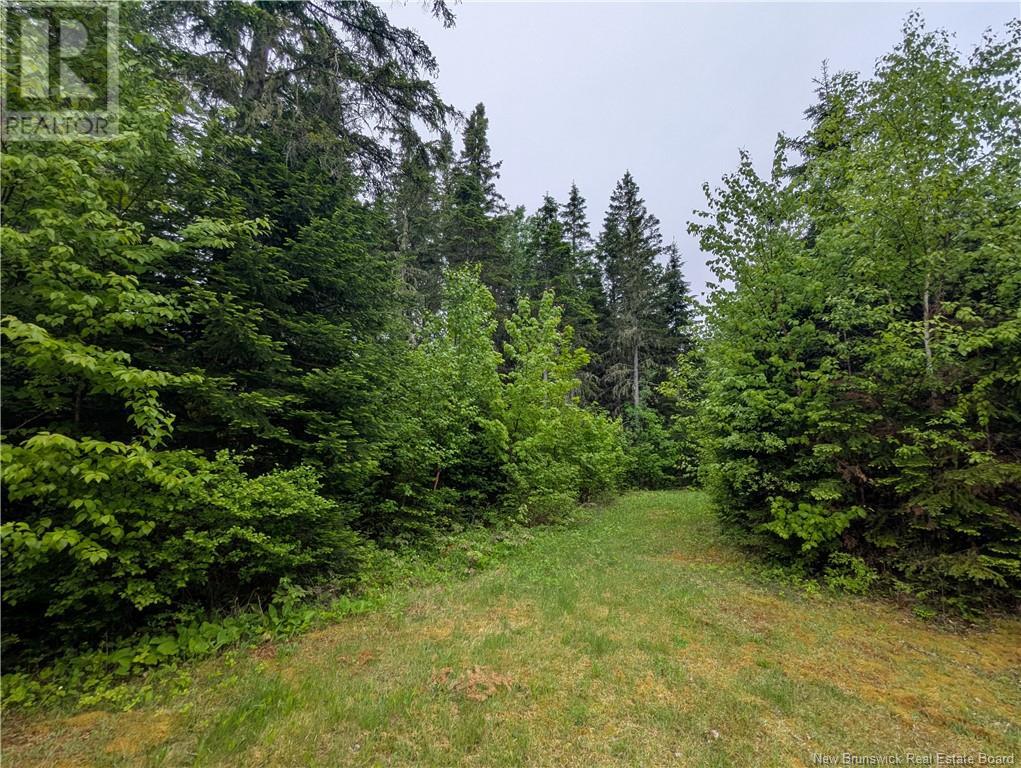129 Rang 7 & 8 Road, Kedgwick Nord, New Brunswick  E8B 1V8 - Photo 19 - NB120596