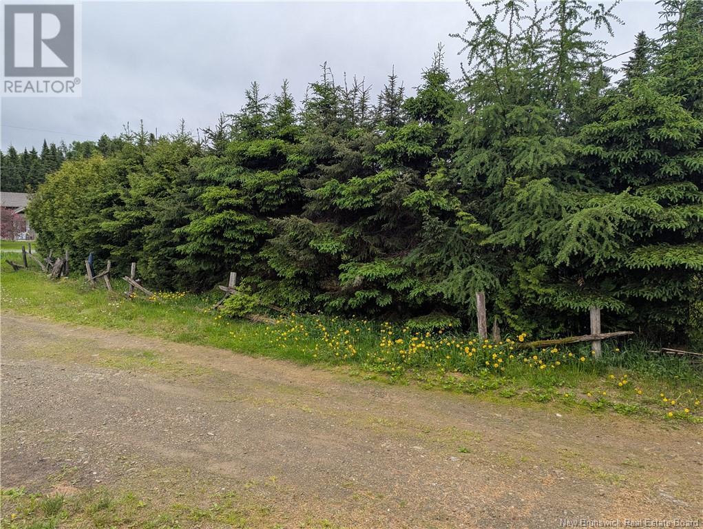 129 Rang 7 & 8 Road, Kedgwick Nord, New Brunswick  E8B 1V8 - Photo 22 - NB120596