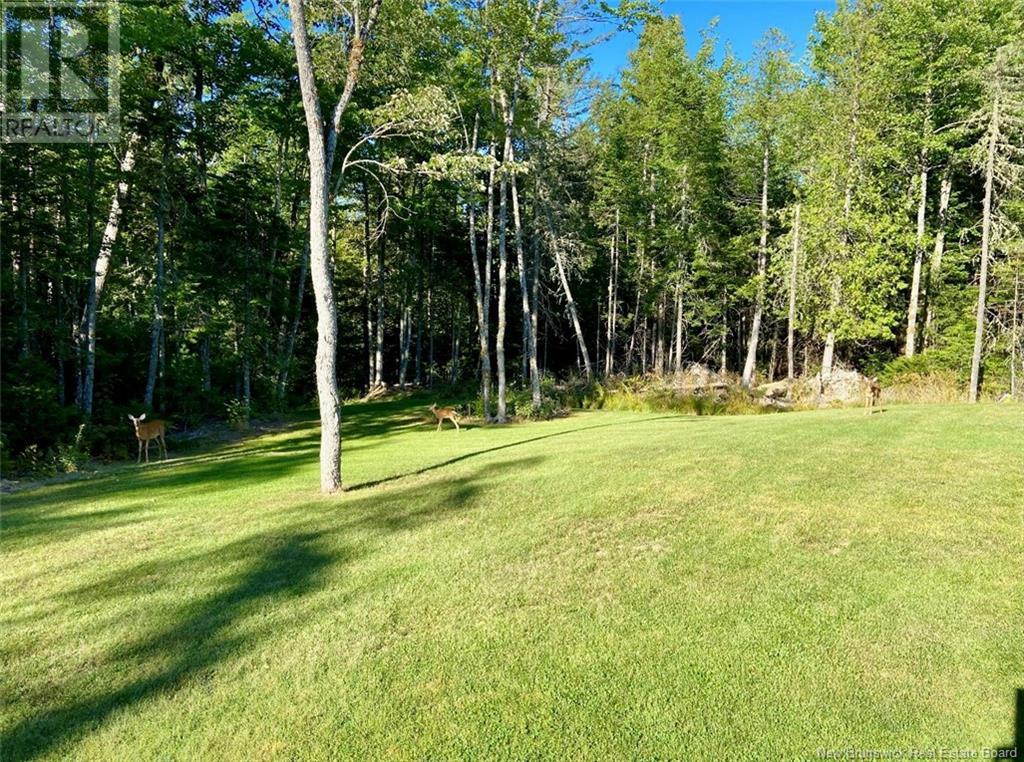 39 Monica Court, Charters Settlement, New Brunswick  E3C 0K3 - Photo 43 - NB120550