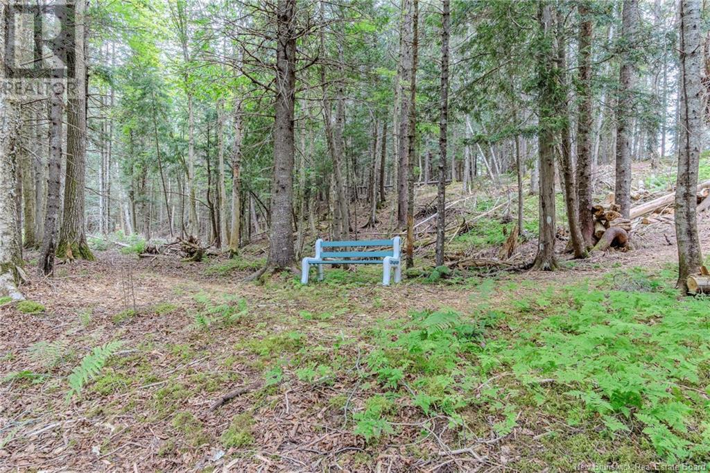 70 Bonney Road, Nauwigewauk, New Brunswick  E5N 7A2 - Photo 35 - NB120600