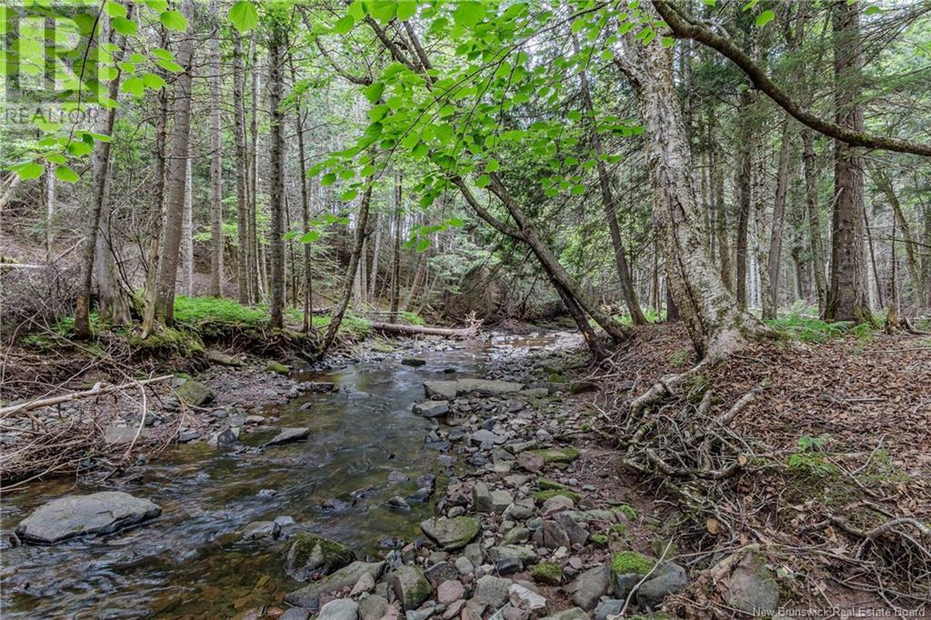 70 Bonney Road, Nauwigewauk, New Brunswick  E5N 7A2 - Photo 37 - NB120600